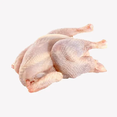 Hard Chicken large