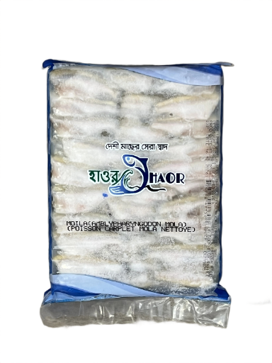 Haor Mola Fish Block