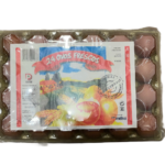 Egg 24 Pieces Category 1