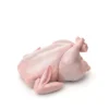 Broiler Chicken