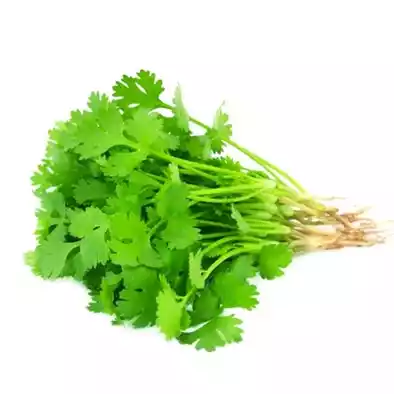 Coriander Leaves (Dhonia Pata)
